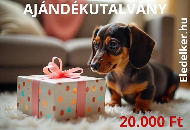 20000 Ft ajándékutalvány kép eledelker.hu