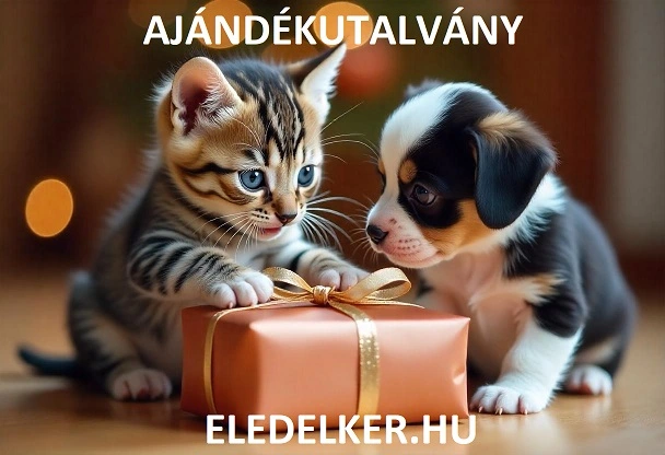 Kutya és macska ajándékutalvány